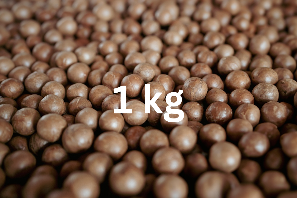 Macadamianüsse in Schale - 1 kg