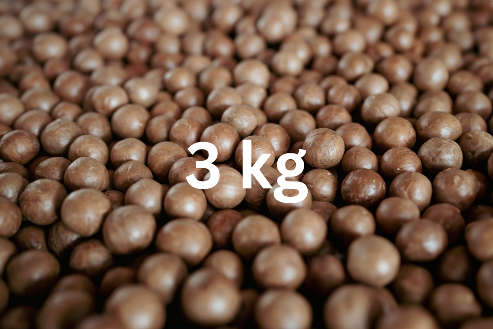 Macadamianüsse in Schale - 3 kg