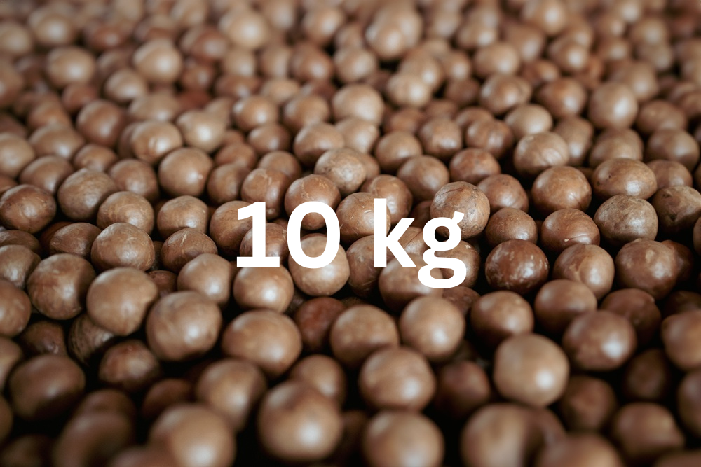 Macadamianüsse in Schale - 10 kg