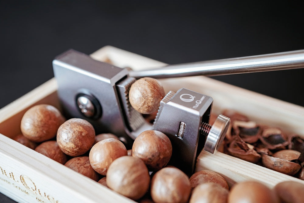 Slow Snacking mit Macadamias: bewusst genießen statt nebenbei essen