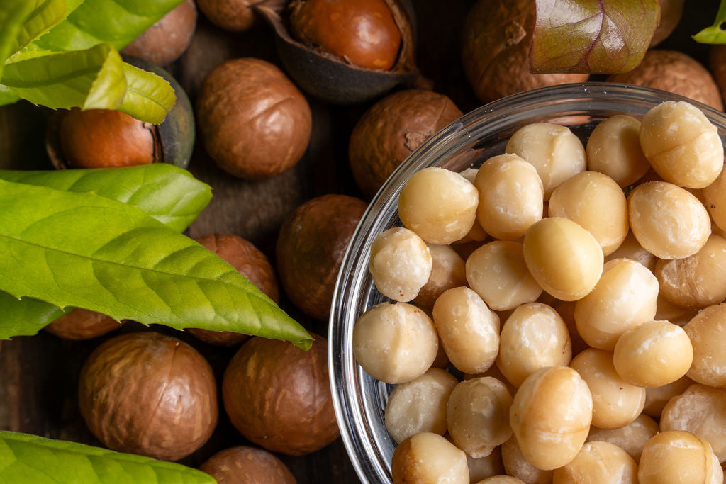 Macadamia für den Darm: Ballaststoffe & wertvolle Fette
